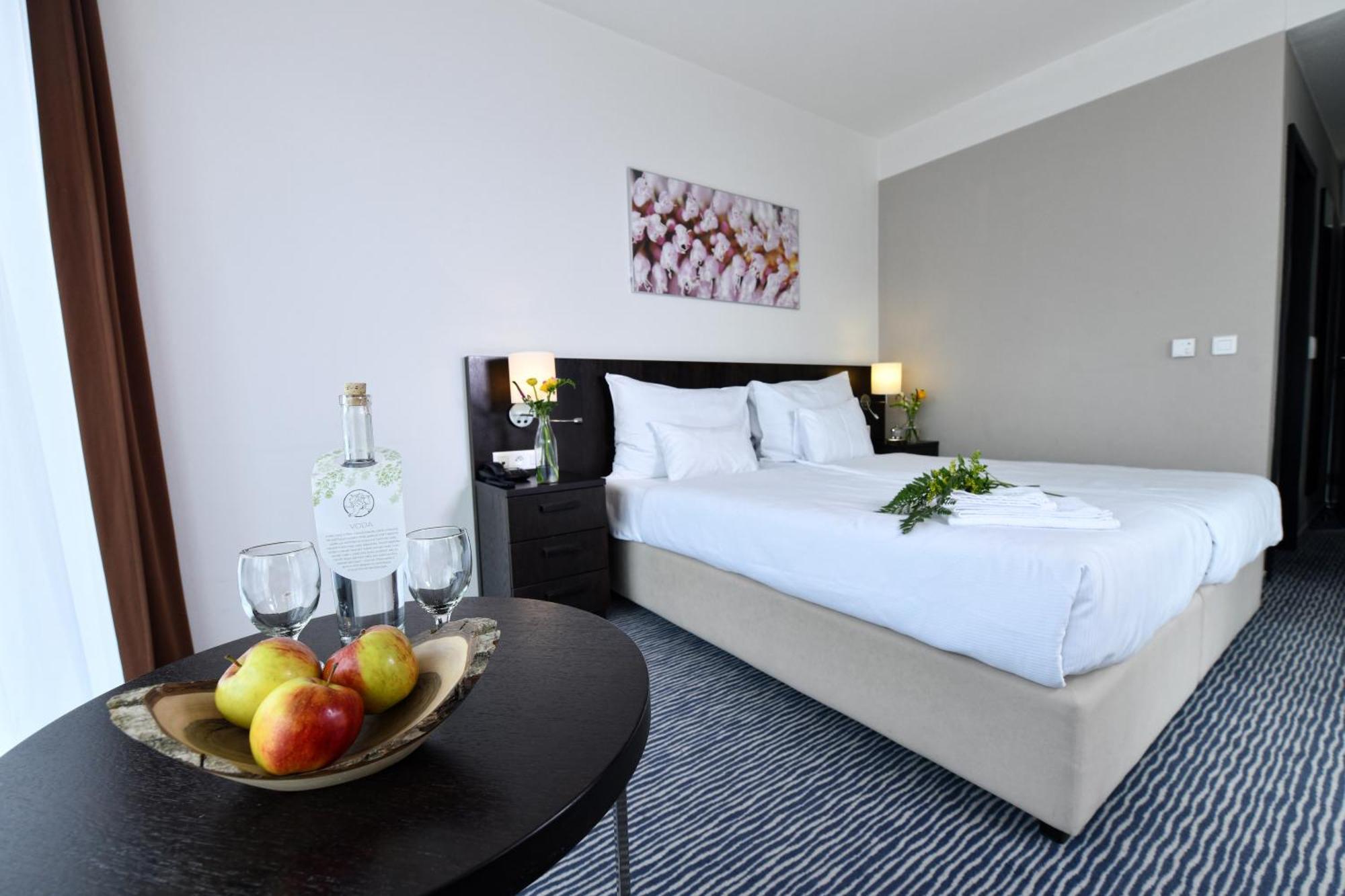 Wellness Hotel Vista Dolní Morava Εξωτερικό φωτογραφία