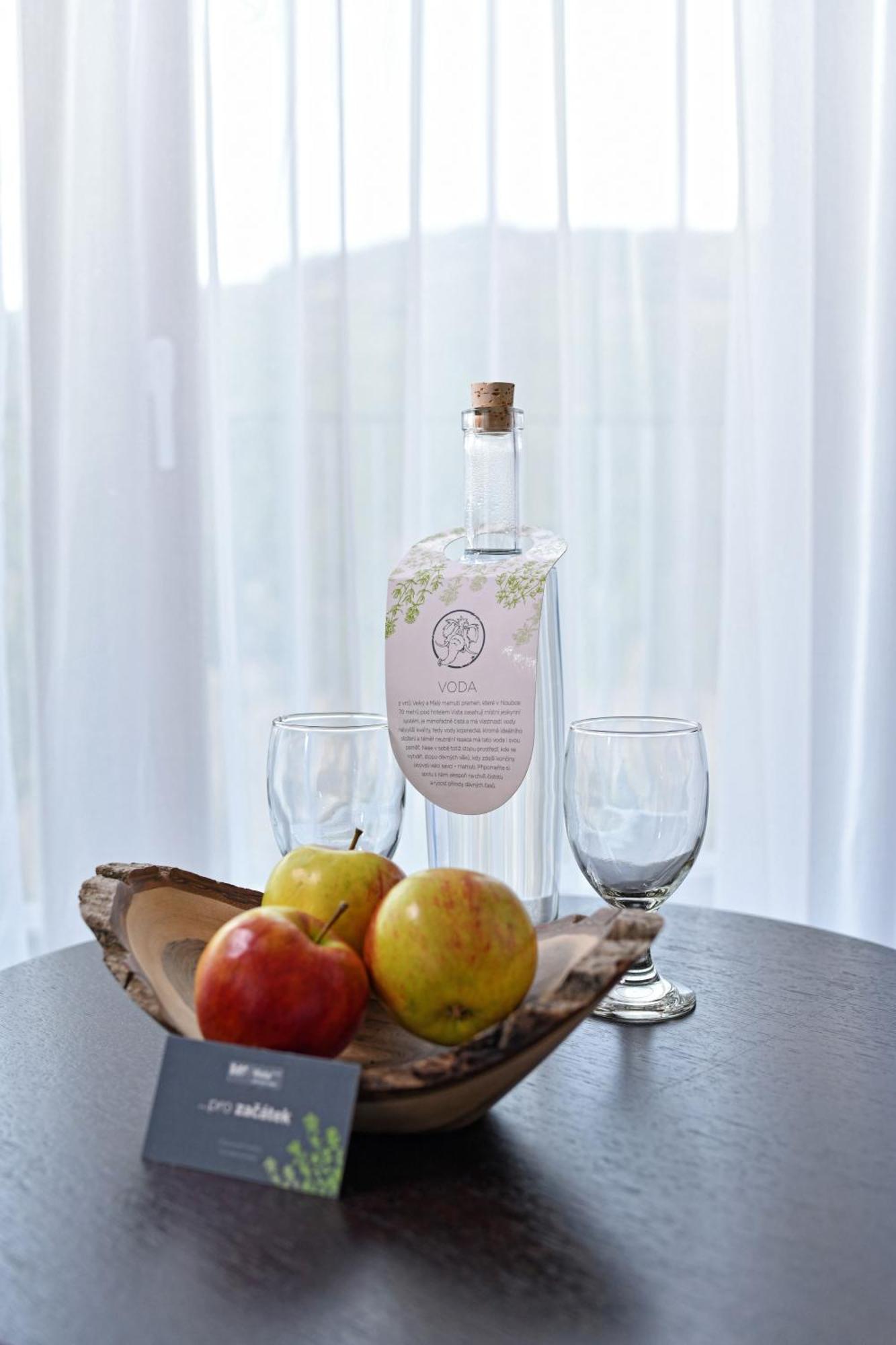 Wellness Hotel Vista Dolní Morava Εξωτερικό φωτογραφία
